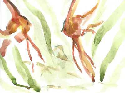 Sedas - MAIN - SLF - Roadtrip.jpg